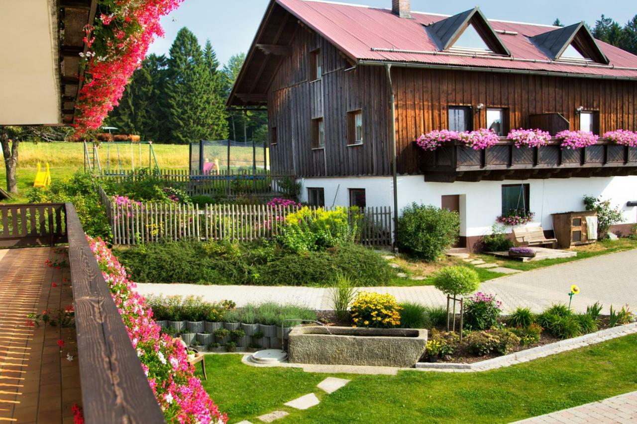 Апартаменты Stoahauerhof Grainet Экстерьер фото